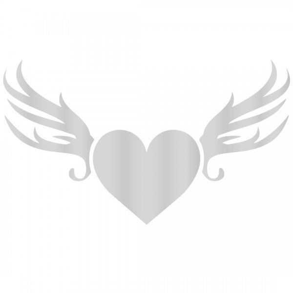  عکس لوازم تزئینی موتور سیکلت دیجی کالا