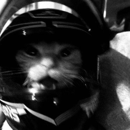  850 عکس هدلایت