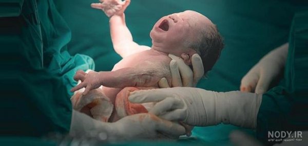  عکس رونالدو با شیر