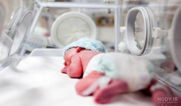  عکس رونالدو با شیر