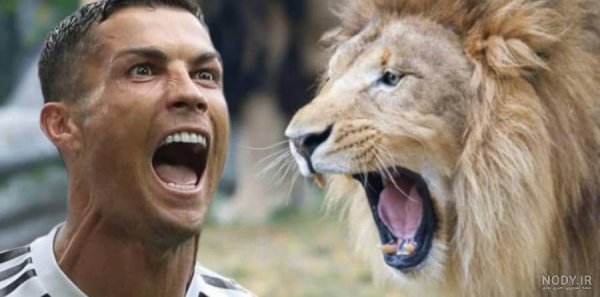  عکس رونالدو با شیر