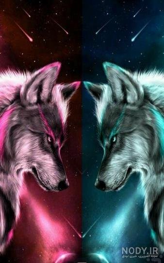  عکس رونالدو با گرگ