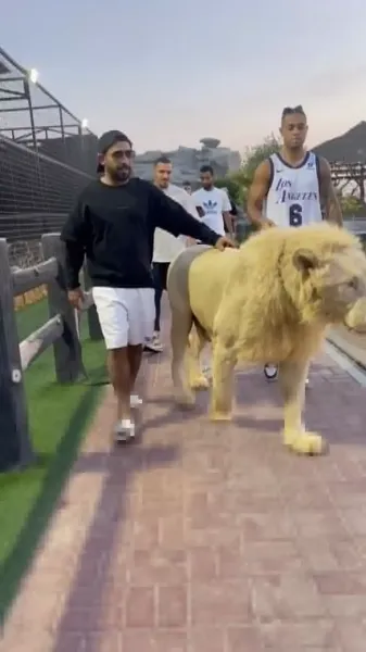  عکس رونالدو با شیر واقعی