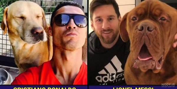  عکس رونالدو با شیر واقعی