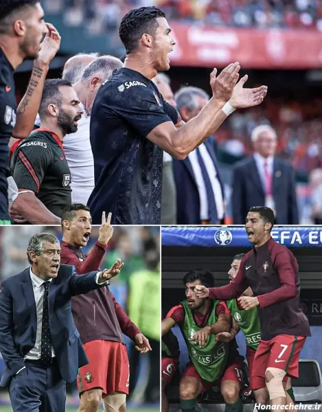  10 عکس رونالدو با جام یورو