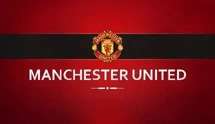  28 عکس رونالدو در منچستر یونایتد با جام