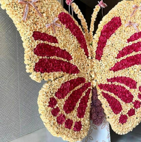 عکس جورجینا-در-استخر