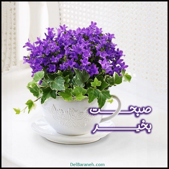  عکس صبح بخیر باکلاس