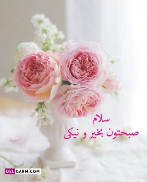  عکس صبح بخیر برای استوری