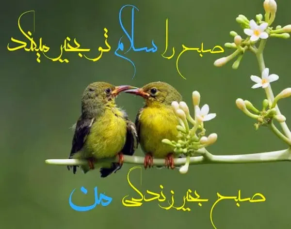  عکس صبح بخیر عاشقانه