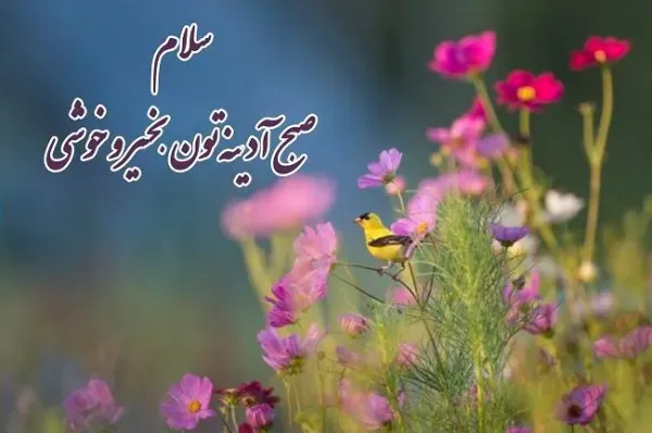  عکس صبح جمعه بخیر عشقم