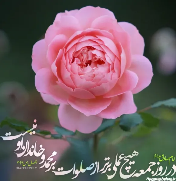  عکس سلام صبح بخیر جمعه با صلوات