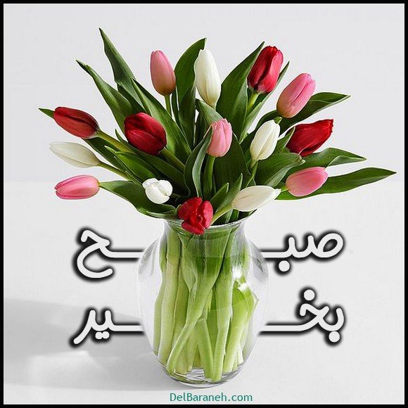  دانلود عکس متن صبح بخیر