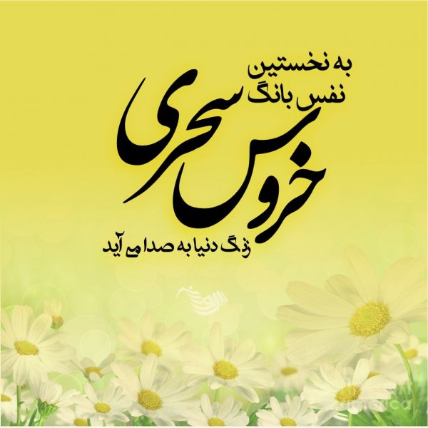  عکس صبح بخیر شاد