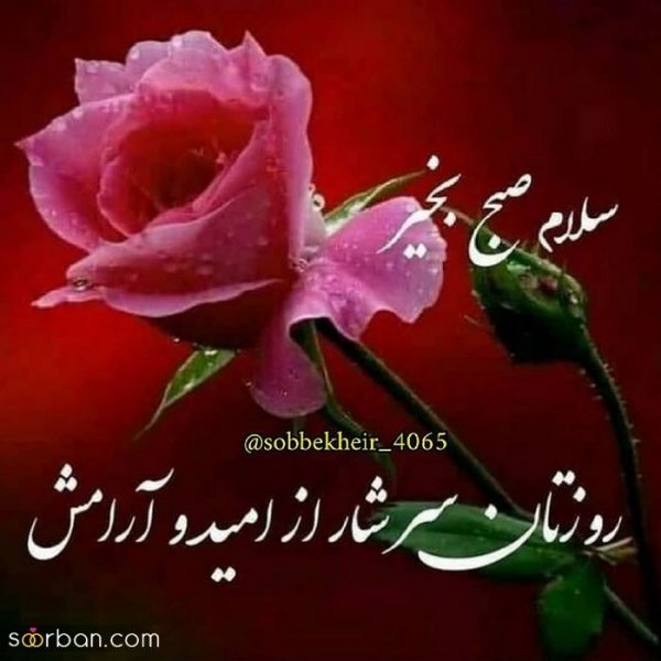  115 عکس سلام صبح بخیر جدید