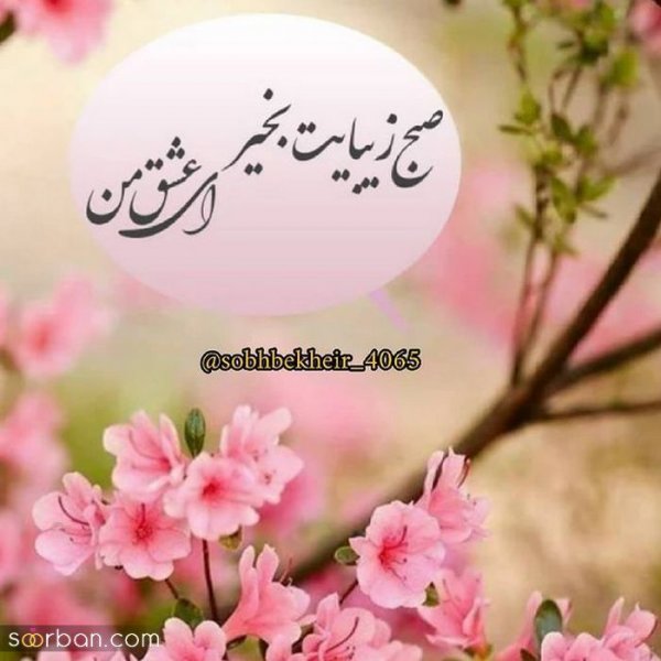  115 عکس سلام صبح بخیر جدید