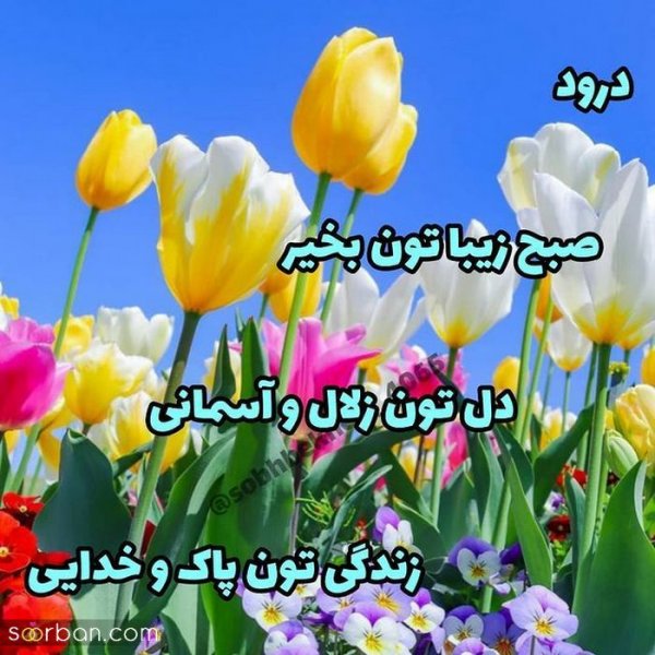  115 عکس سلام صبح بخیر جدید
