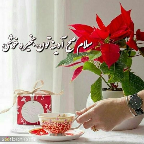  115 عکس سلام صبح بخیر جدید