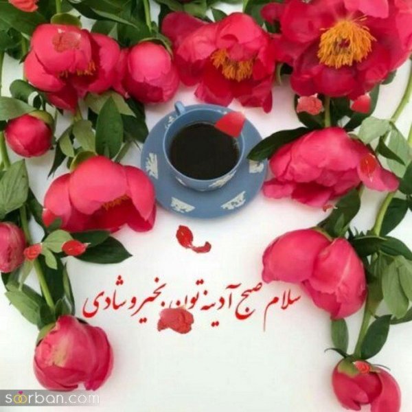  200 عکس متن صبح بخیر برای دوستان