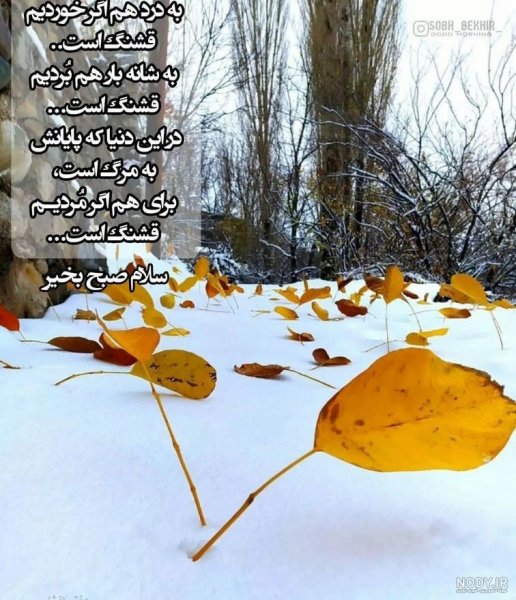  عکس سلام صبح سه شنبه تون بخیر و شادی