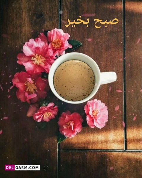  23 عکس سلام صبح بخیر جدید۱۴۰۰
