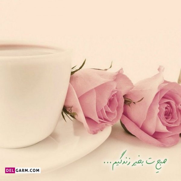  عکس برای صبح بخیر استوری بدون متن