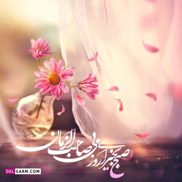  عکس برای صبح بخیر بدون متن