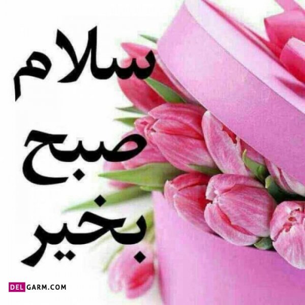  عکس برای صبح بخیر بدون متن