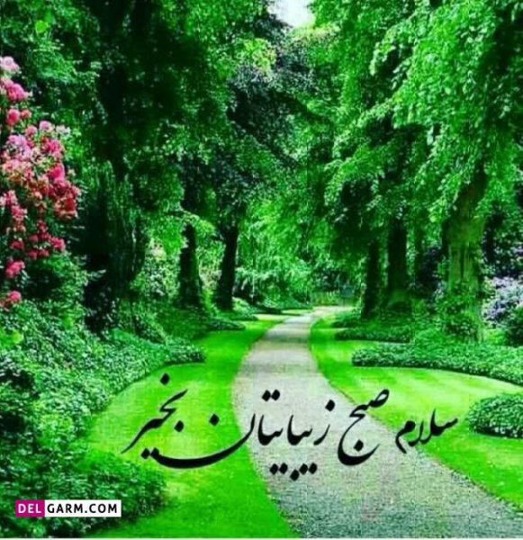  عکس برای صبح بخیر بدون متن