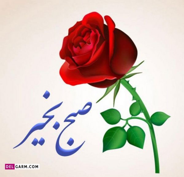  عکس برای صبح بخیر بدون متن