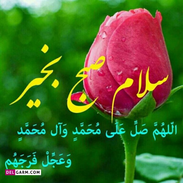  متن صبح بخیر زیبا و پر انرژی عکس