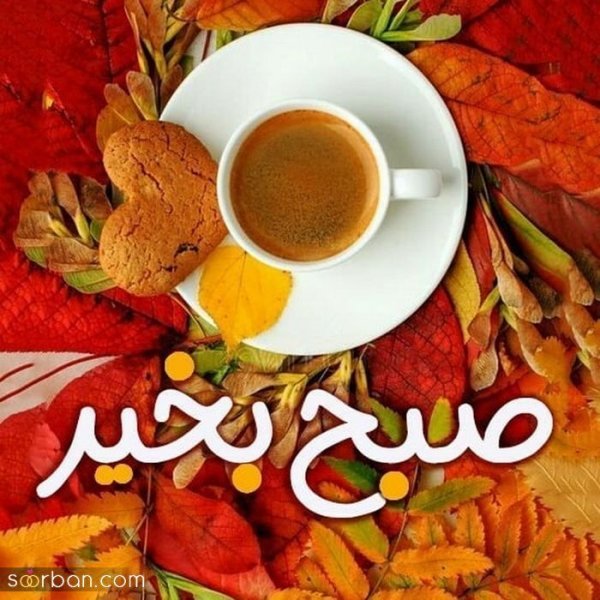  عکس صبح بخیر