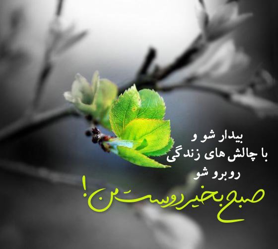  عکس صبح بخیر جدید
