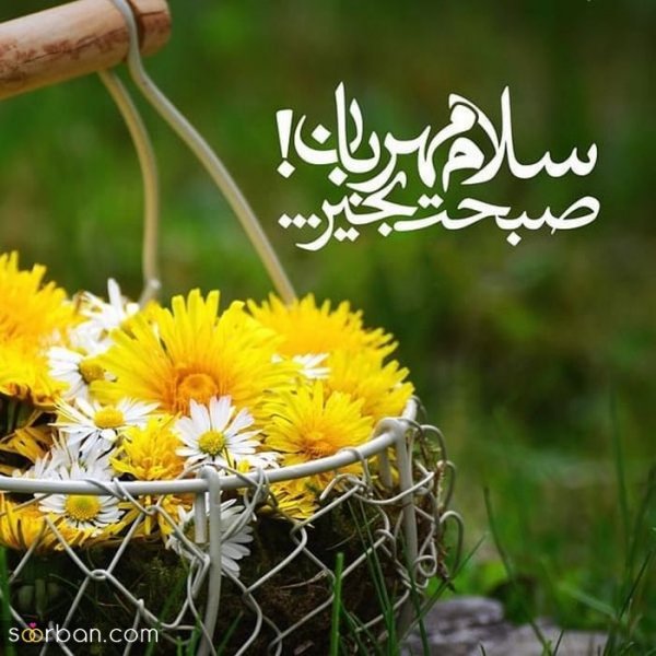 عکس های صبح بخیری