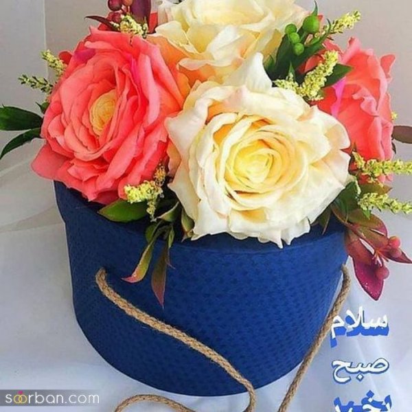  عکس های صبح بخیری