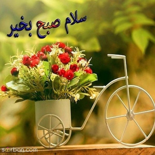  عکس های صبح بخیری