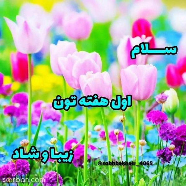  تصاویر صبح بخیر