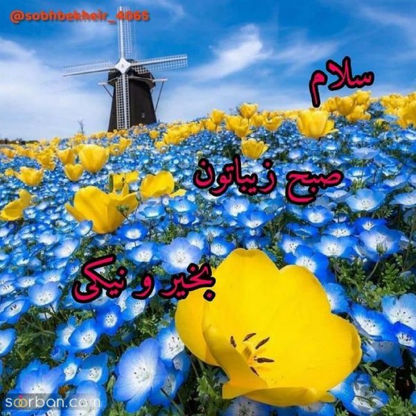  تصاویر صبح بخیر