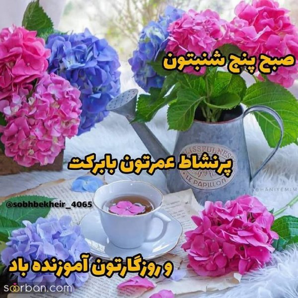  تصاویر صبح بخیر