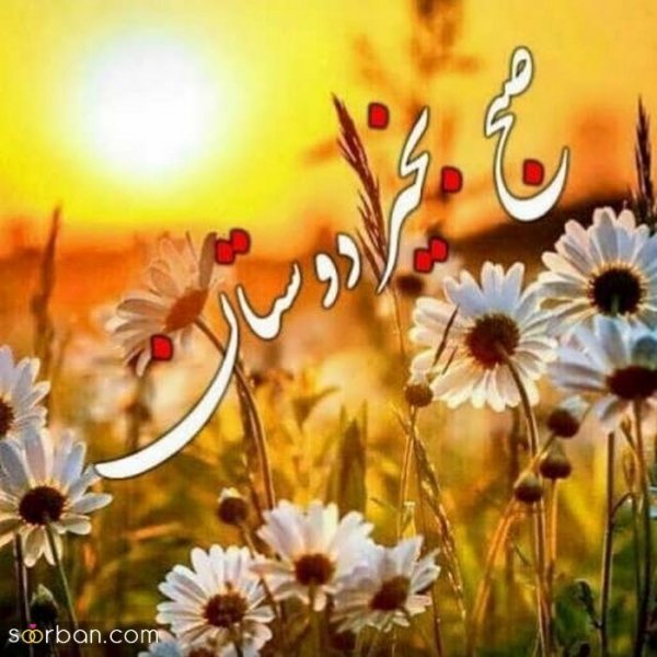  عکس سلام صبح بخیر