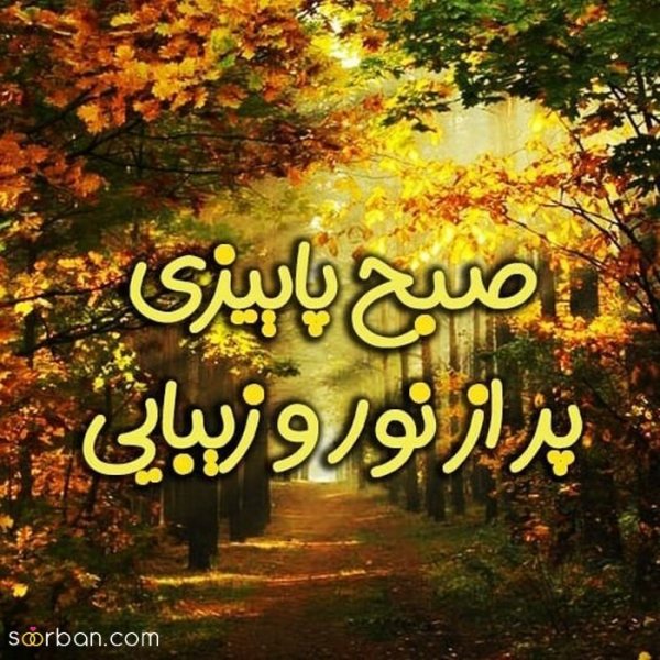  عکس صبح بخیر بدون متن