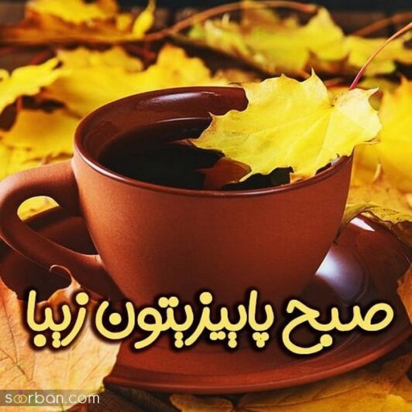 متن صبح بخیر با عکس گل