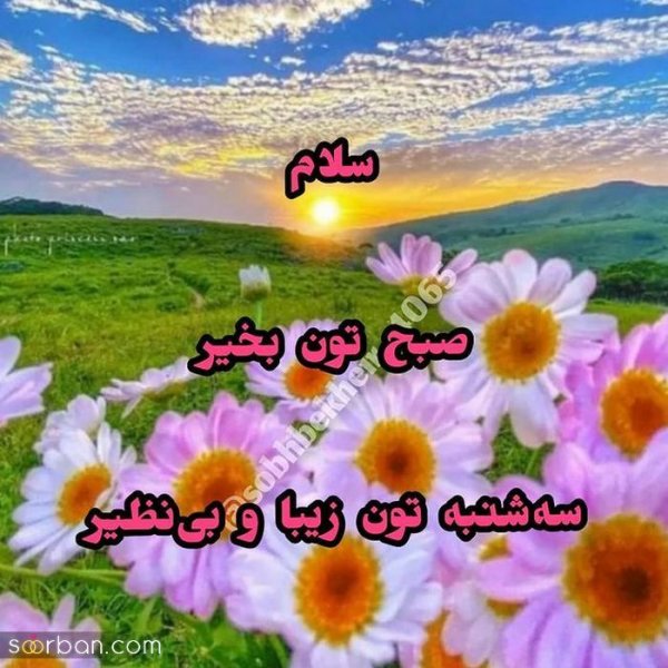  متن صبح بخیر با عکس گل