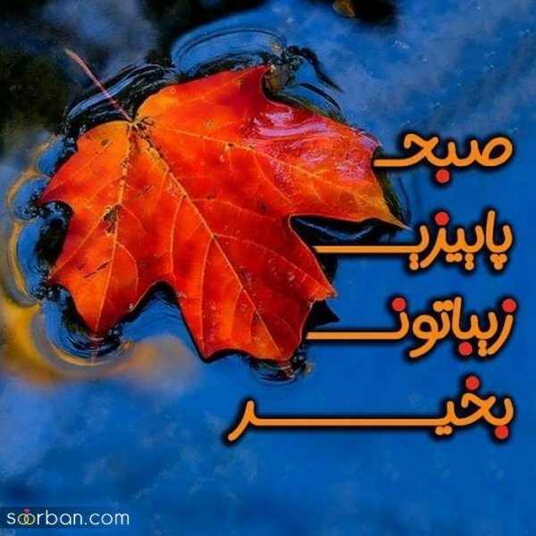  متن صبح بخیر با عکس گل