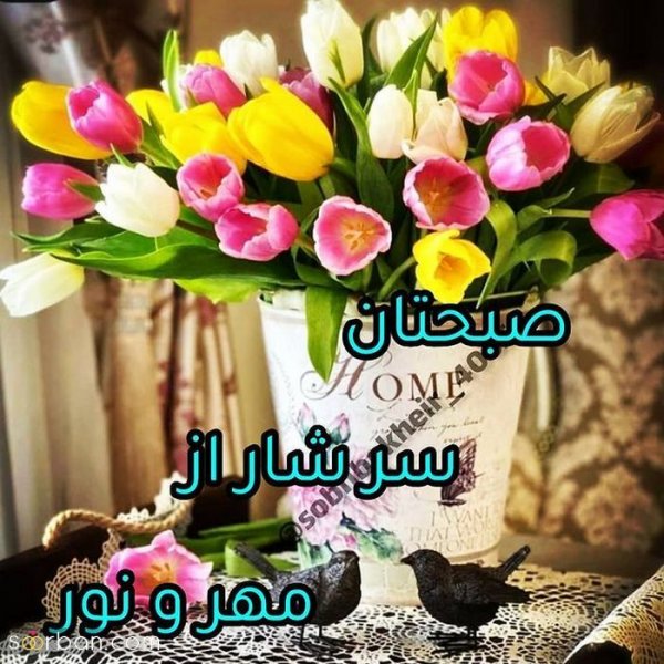  متن صبح بخیر با عکس گل