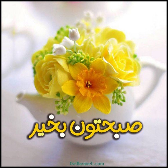  عکس سلام صبح بخیر با گل محمدی
