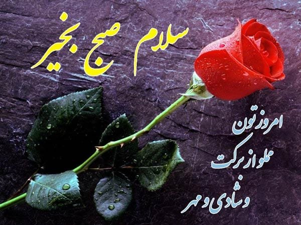  عکس برای متن صبح بخیر