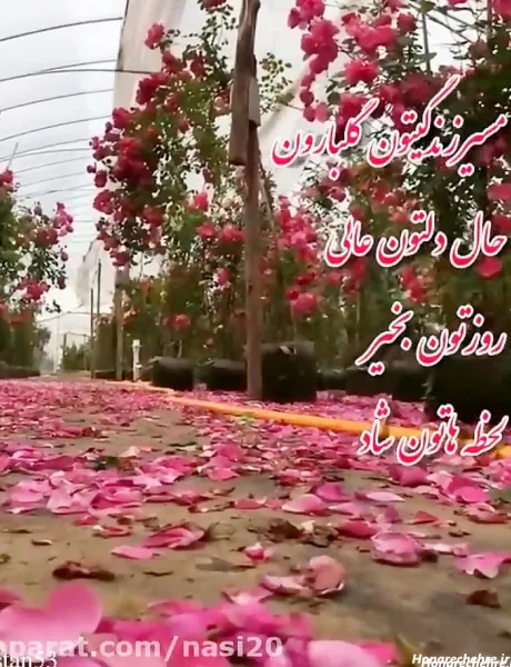 سلام صبح بخیر پاییزی عاشقانه