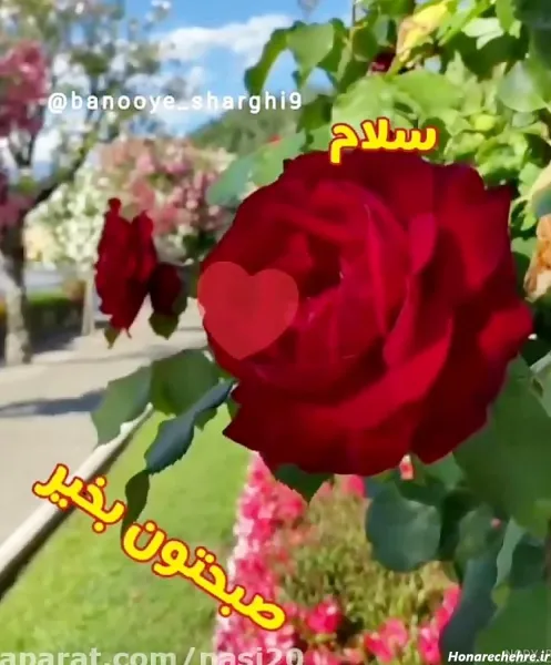 سلام صبح بخیر پاییزی عاشقانه