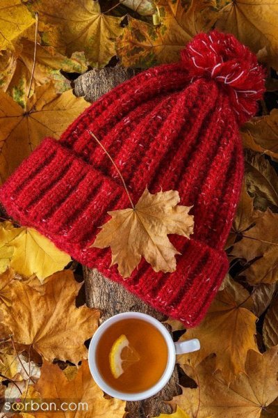  عکس صبح بخیر پاییزی زیبا